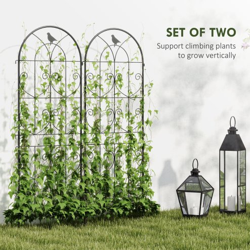 Outsunny Set of 2 Metal Garden Trellis, Decorative Trellis Panels for Climbing Outdoor Plants, Vegetables, Vines, Flowers, 150 x 50 cm, Bird Design