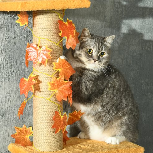PawHut 242cm Floor to Ceiling Cat Tree for Indoor Cats with Leaves, Height Adjustable Cat Climbing Tower with Scratching Post, Anti-Slip Kit - Orange