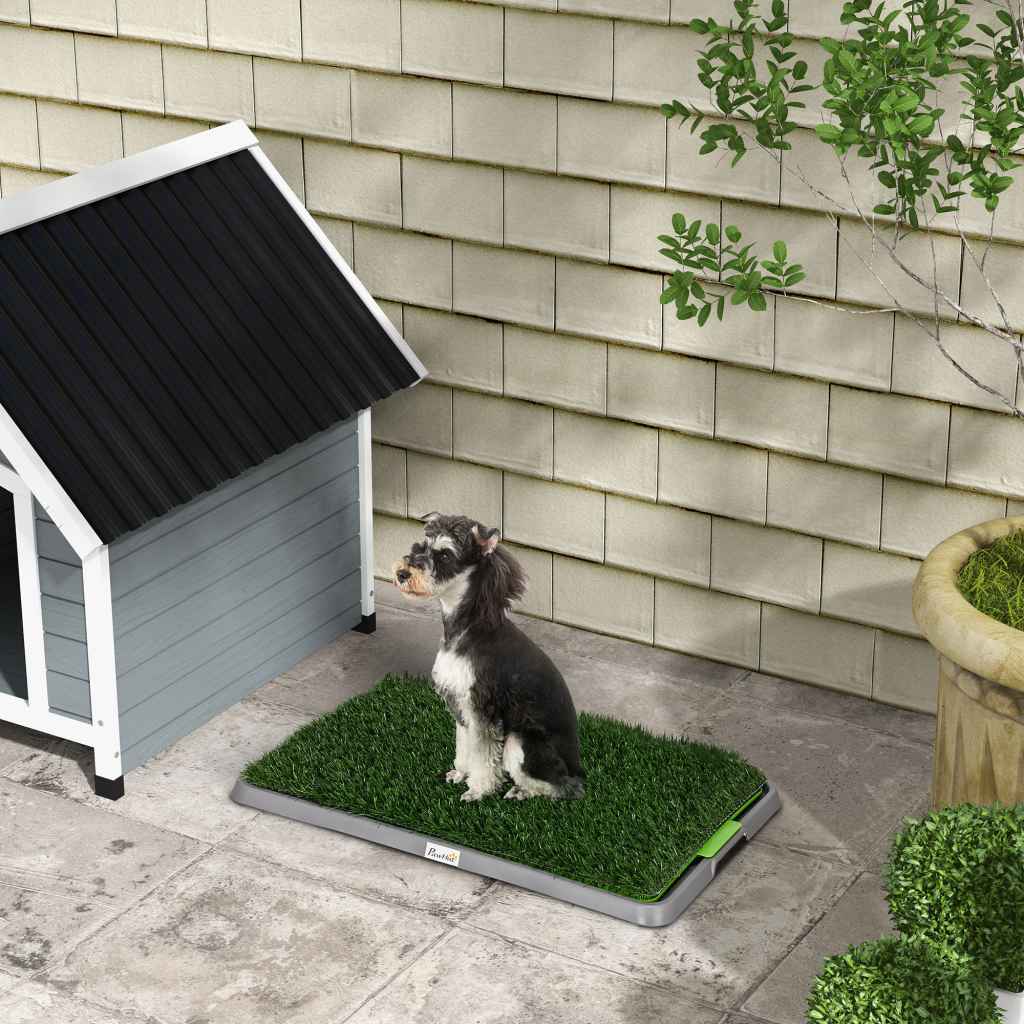 Dog Training Pads & Trays Image