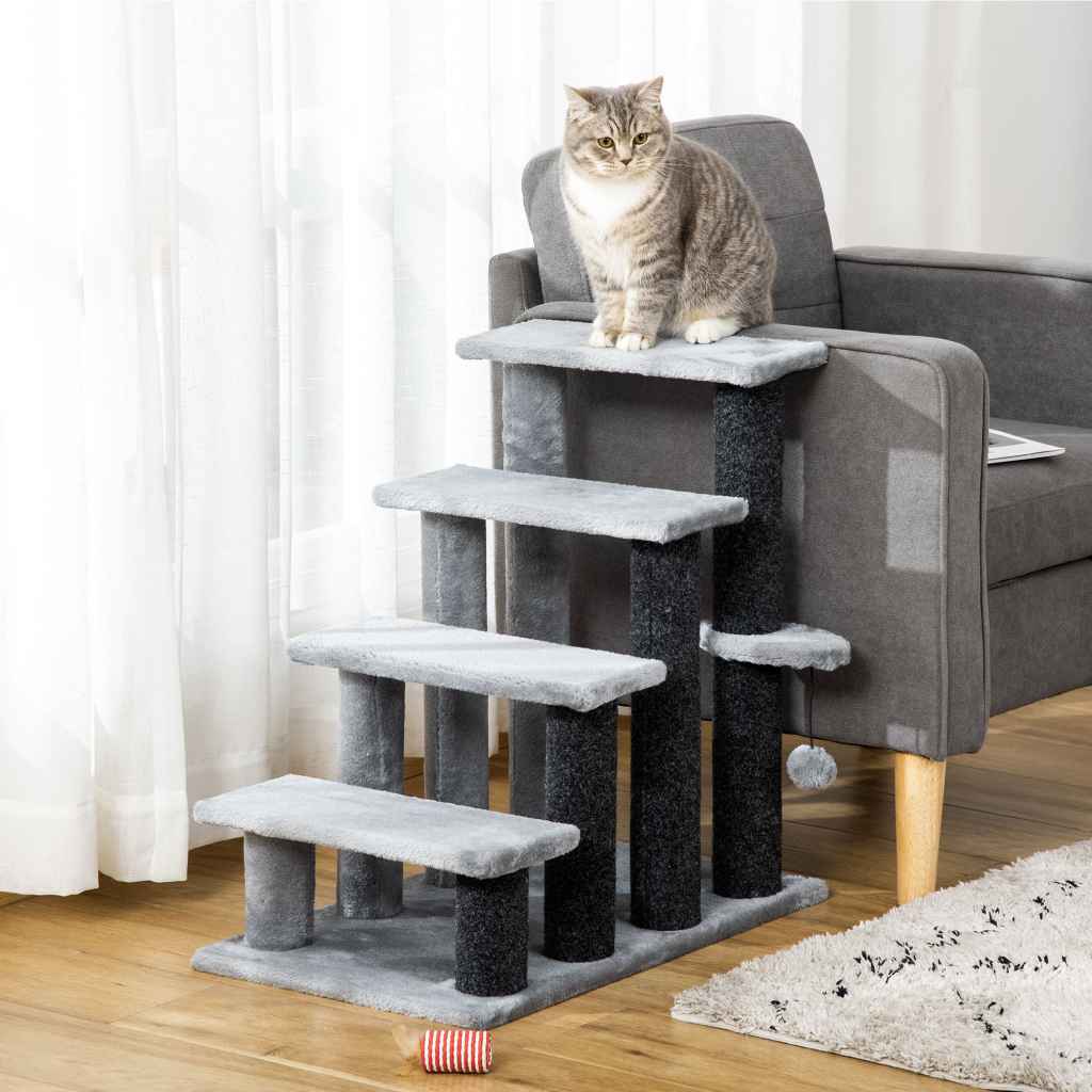 Cat Steps Image