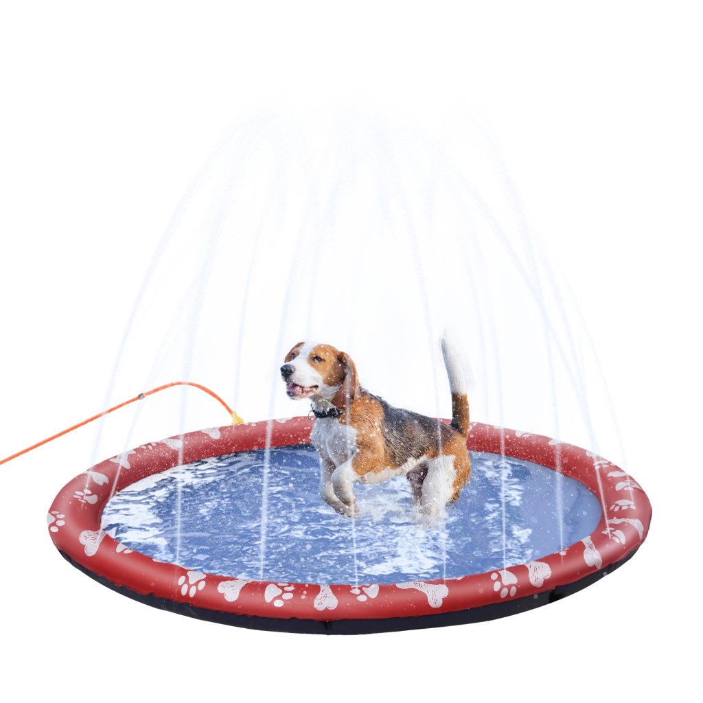 Dog Splash Pads Image