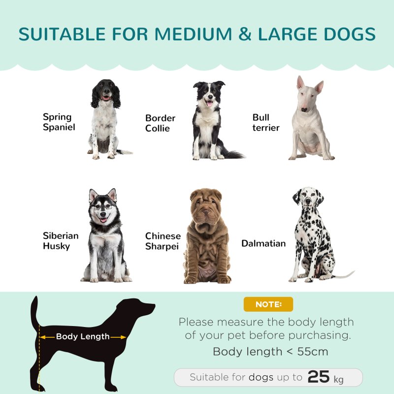 PawHut Dog Sofa for Medium, Large Dogs, Shell Shaped Pet Couch Bed with Legs, Cushion, Washable Cover - Green