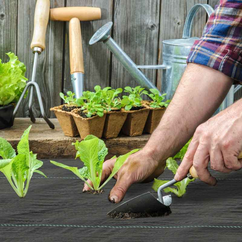 Outsunny 2m x 90m Weed Control Membrane, Heavy Duty Weed Control Barrier Fabric, 90gsm Ground Cover for Patios, Garden, Flower beds, Landscaping