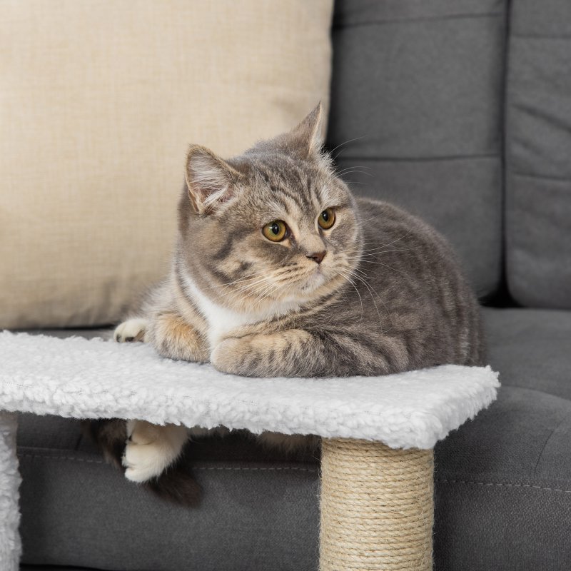 PawHut Pet Stair, Cat Tree with 3-step Climb Ladder, Scratching Posts, Platforms, Toy Ball, for Indoor Elderly Cats Kittens, White