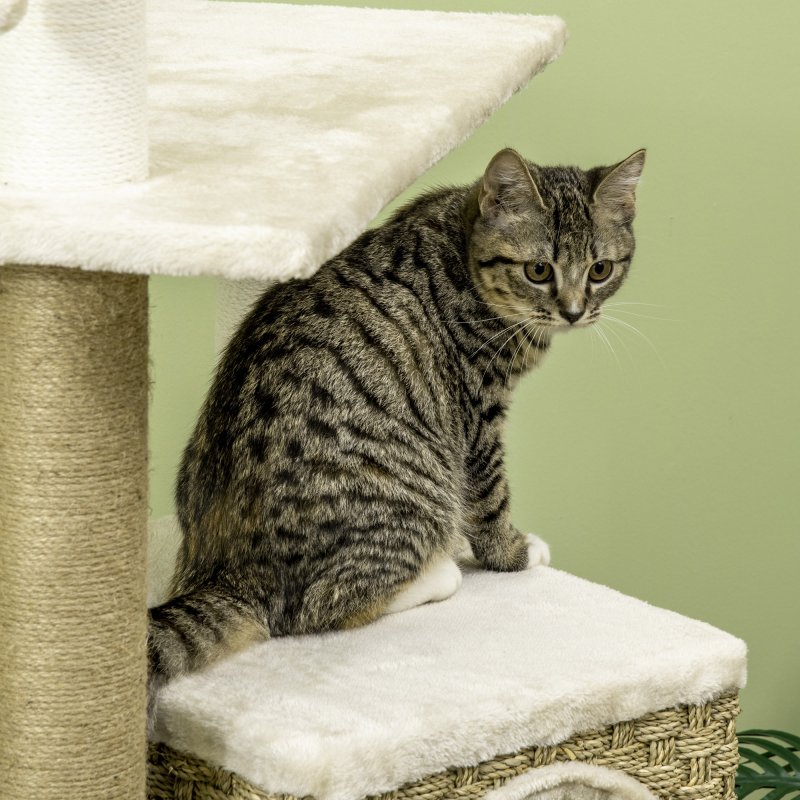 PawHut Cat Tree Climbing Kitten Tower Activity Centre for Indoor Cats w/ Jute Scratching Post, Cat House, Kitten Stand, Hanging Toy Ball - Beige