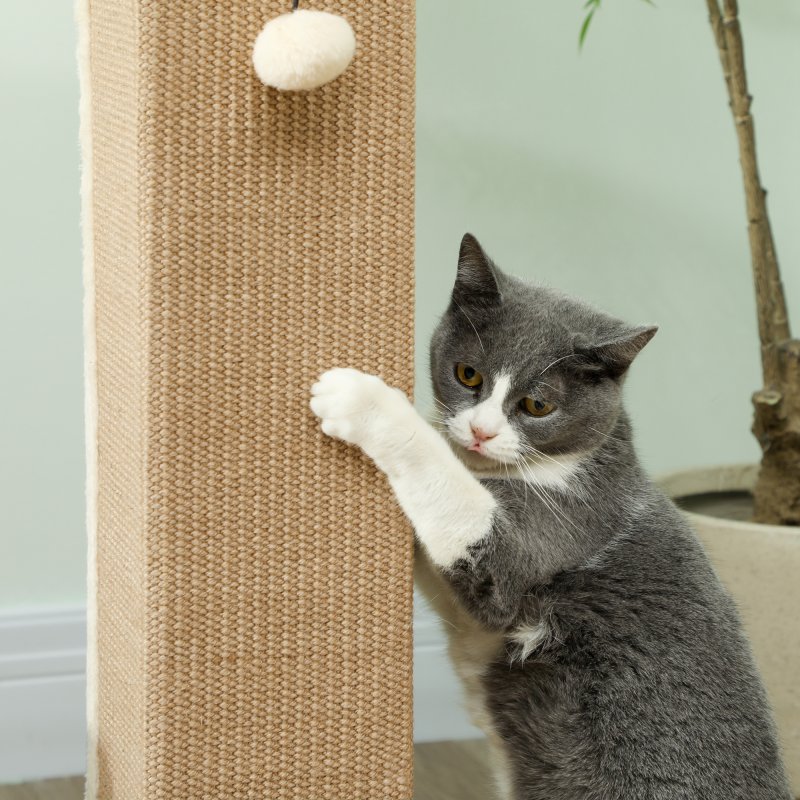 PawHut Cat Scratching Post for Indoor Cats, 81cm Cat Scratcher, Vertical Full Scratcher with Natural Jute Rope, Hanging Ball and Soft Plush, Beige