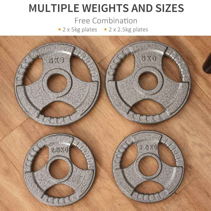 HOMCOM Set of 4 Weight Plate for 2 inch/5cm hole Dumbbell Handle Bar 15kg Dumbbell Plates Barbell Weight 2 x 5kg, 2 x 2.5kg