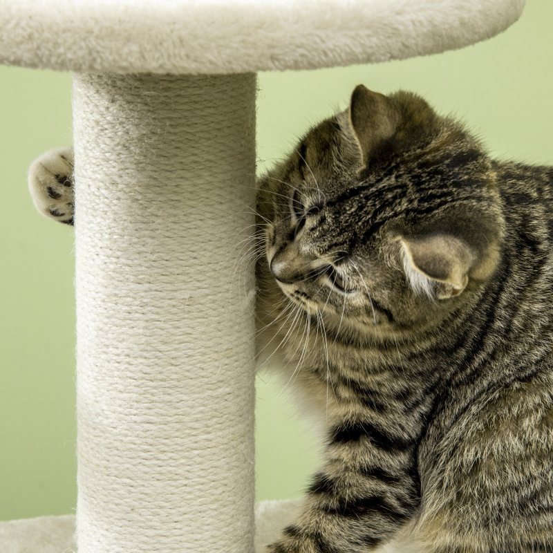 PawHut Cat Tree Climbing Kitten Tower Activity Centre for Indoor Cats w/ Jute Scratching Post, Cat House, Kitten Stand, Hanging Toy Ball - Beige