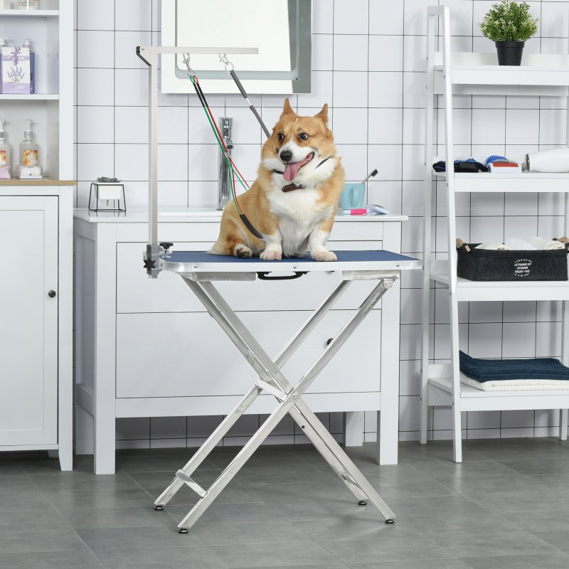 PawHut Foldable Pet Grooming Arm w/ Clamp 30 Inch Height Adjustable, Dog Grooming Loop, Two No Sit Haunch Holders for Small Medium Dogs, Sliver