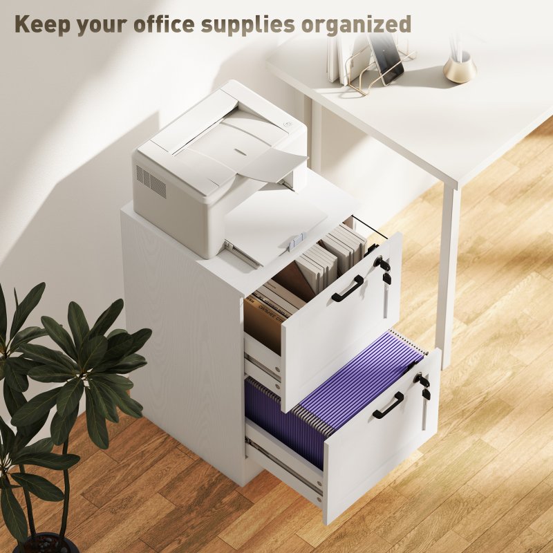 HOMCOM 2-Drawer Filing Cabinet, Lockable File Cabinet for A4, Letter, Office Storage Drawers with Lock for Home Office, 40 x 40 x 71 cm, White
