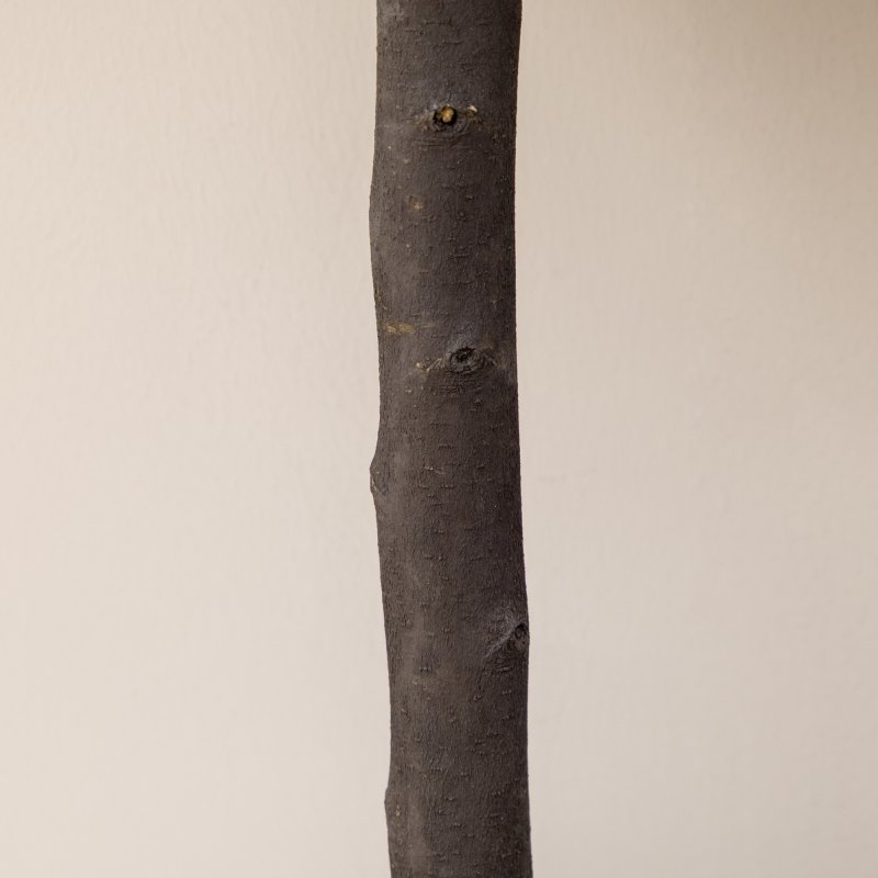 HOMCOM Set of 2 Decorative Artificial Plants Boxwood Ball Trees in Pot Fake Plants for Home Indoor Outdoor Decor, 60cm