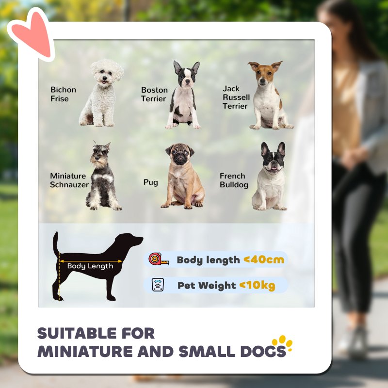PawHut Dog Pram Dog Stroller Pet Pushchair with Detachable Carrier Soft Padding, Safety Leashes, for Mini and Small Dogs - Grey