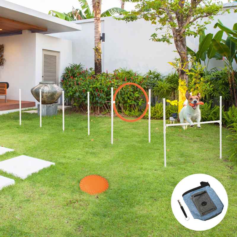 PawHut Dog Agility Equipment Set Pet Run Jump Obedience Training Set for Outdoor with Disc, Whistle, Weaves Poles, Adjustable Jumping Poles, Carry Bag