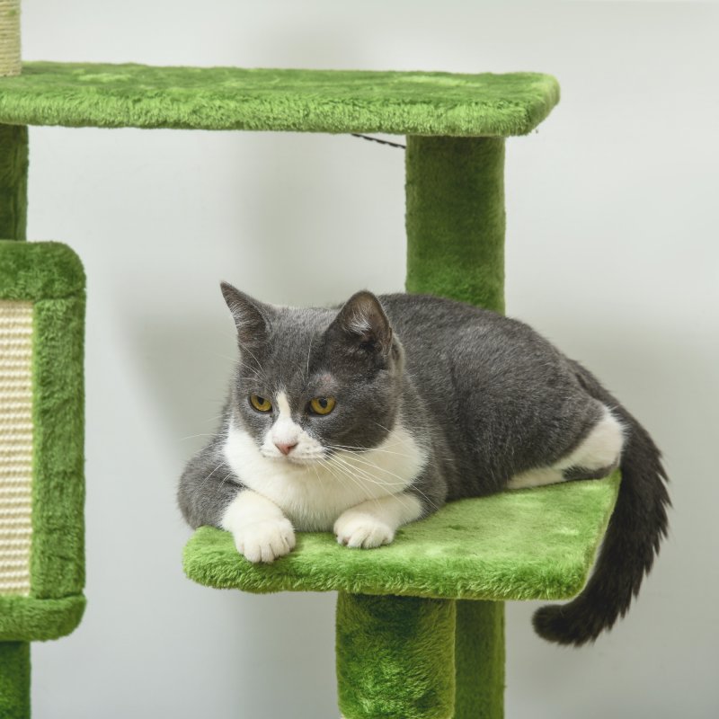 PawHut 142cm Cat Tree for Indoor Cats, Cat Tower with Scratching Posts, Scratch Board, Hammock, Toy Balls, Multi-level Platforms, Green
