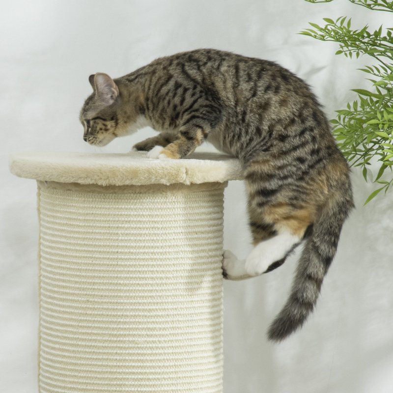 PawHut 85cm Tall Cat Scratching Post w/ Sisal Rope, Covered in Soft Plush, Anti-Tip for Indoor Corners, Cabinet Corners, Sofa Corners - Beige