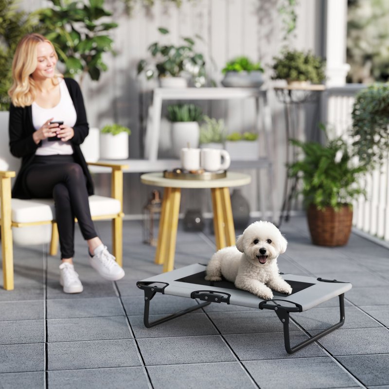 PawHut Raised Dog Bed, Portable Elevated Pet Cot with Breathable Mesh for Indoor Outdoor, for Small Medium Dogs, 75 x 51 x 18 cm, Light Grey