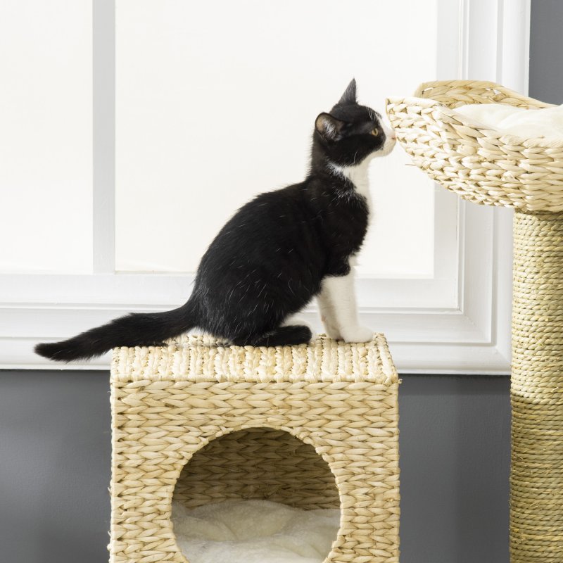 PawHut Flower Cat Tree for Indoor Cats Kitten Tower Cattail Weave with Scratching Posts, Cat House, Bed, Ladder, Washable Cushions, 57 x 37 x 100.5 cm - Natural Finish