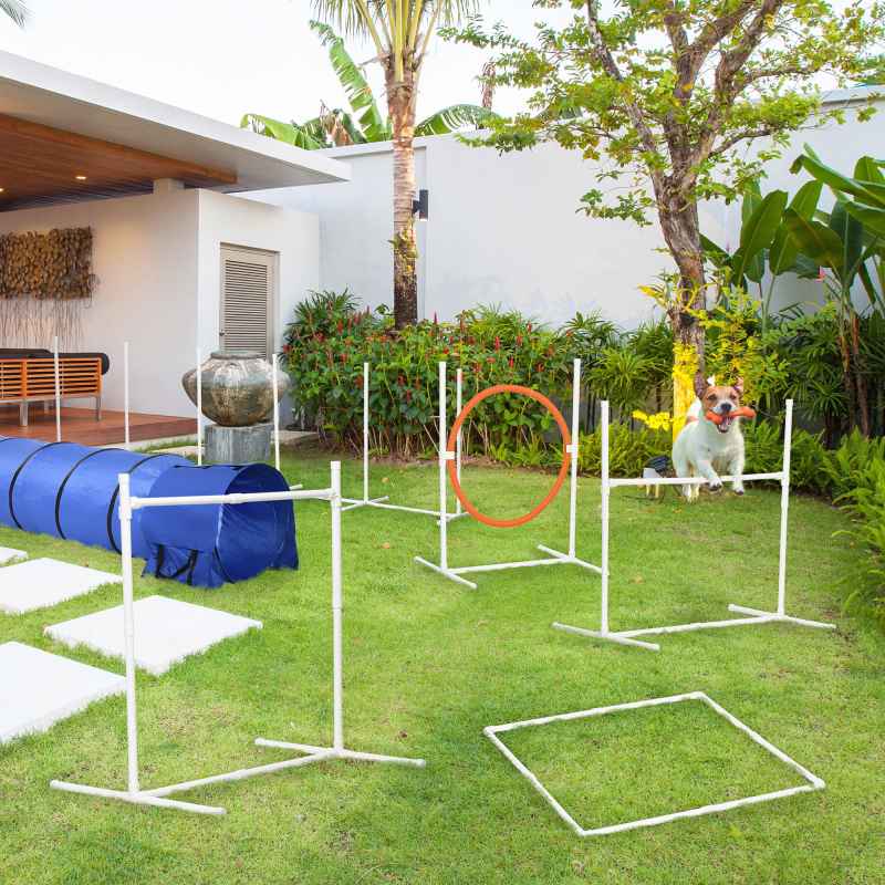 PawHut Dog Agility Equipment Set 6 PCs with 3(m) Tunnel, Canine Whistle, Pause Box, Dog Jumps, Weave Poles