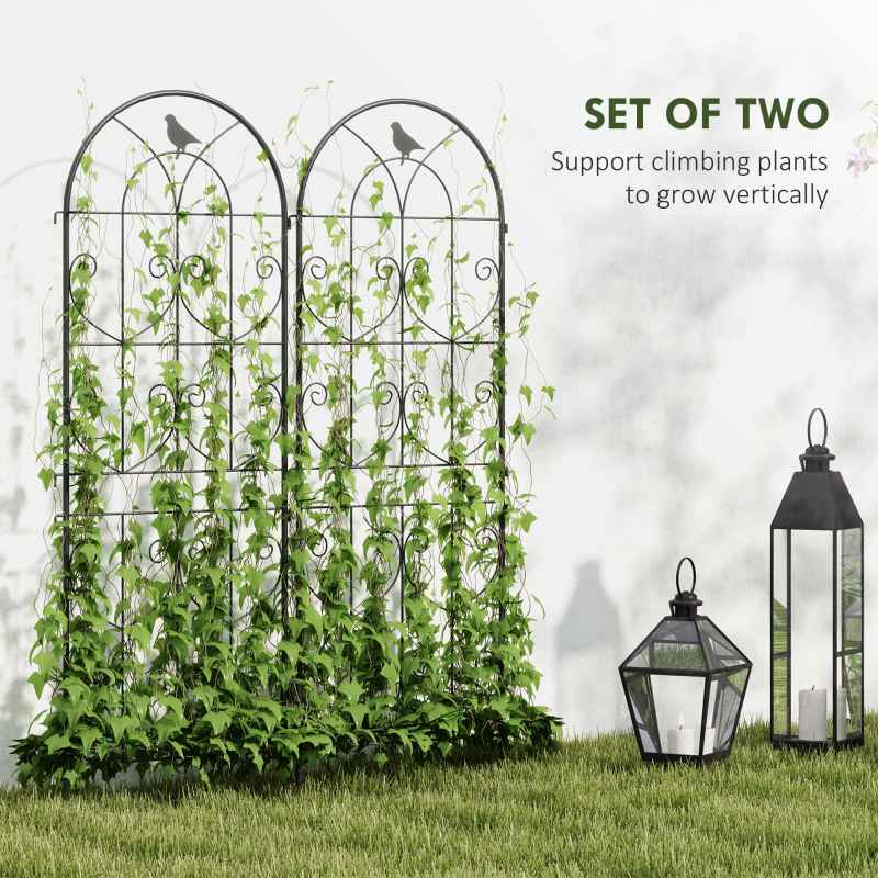 Outsunny Set of 2 Metal Garden Trellis, Decorative Trellis Panels for Climbing Outdoor Plants, Vegetables, Vines, Flowers, 150 x 50 cm, Bird Design