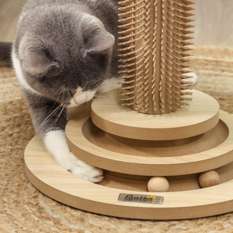PawHut Cat Scratching Post, 49cm Cat Scratcher with Sisal Post, Interactive Track Ball Toy, Self Grooming Brush, Hanging Toy Ball, Feather, 5 in 1 Small Kitten Cat Scratch post, Oak Tone
