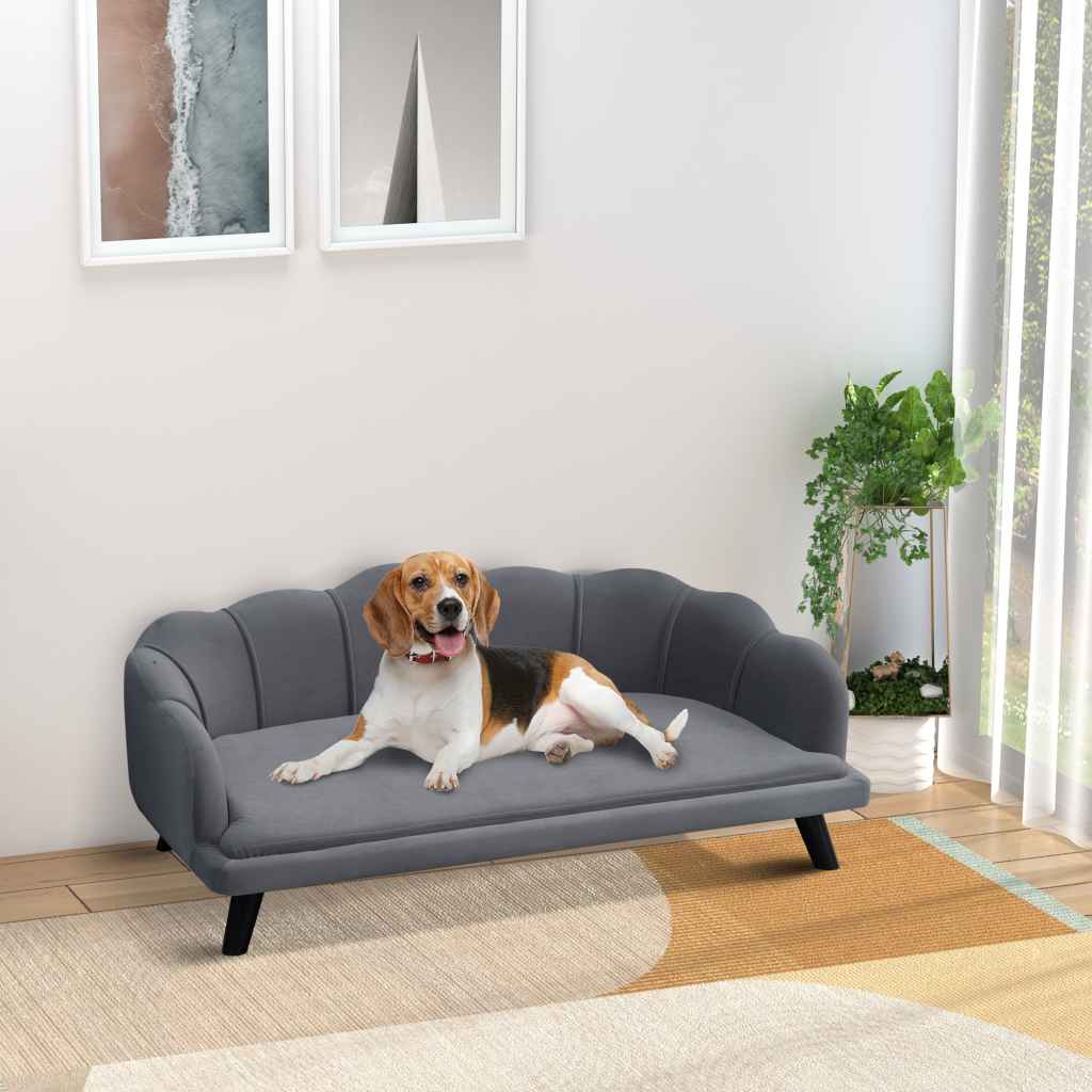 Dog Sofas & Chairs Image