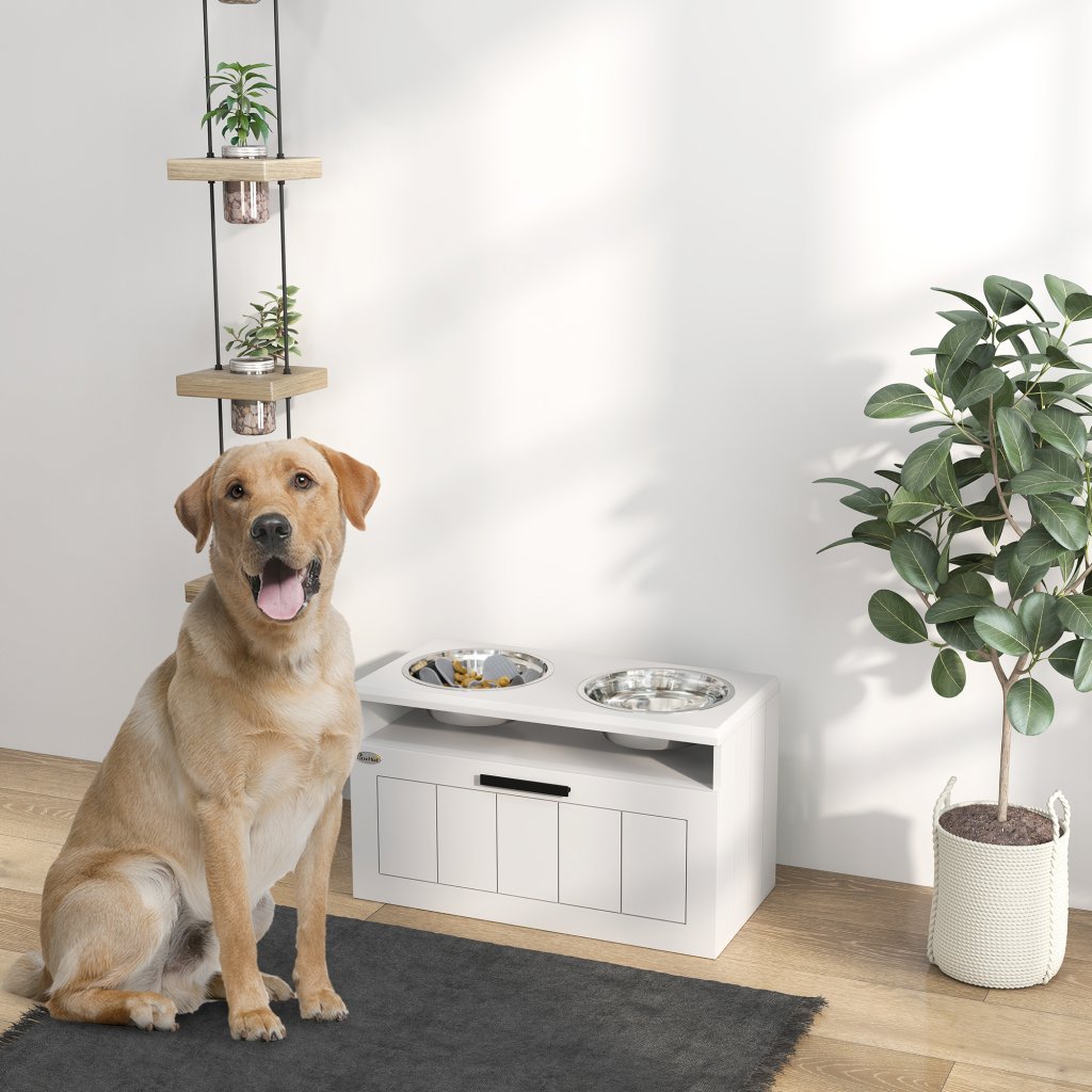 Dog Raised Bowls Image