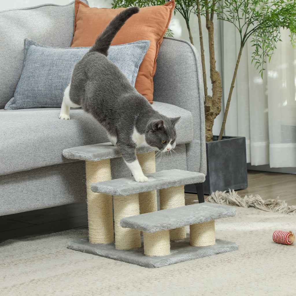 Cat Trees & Condos Image