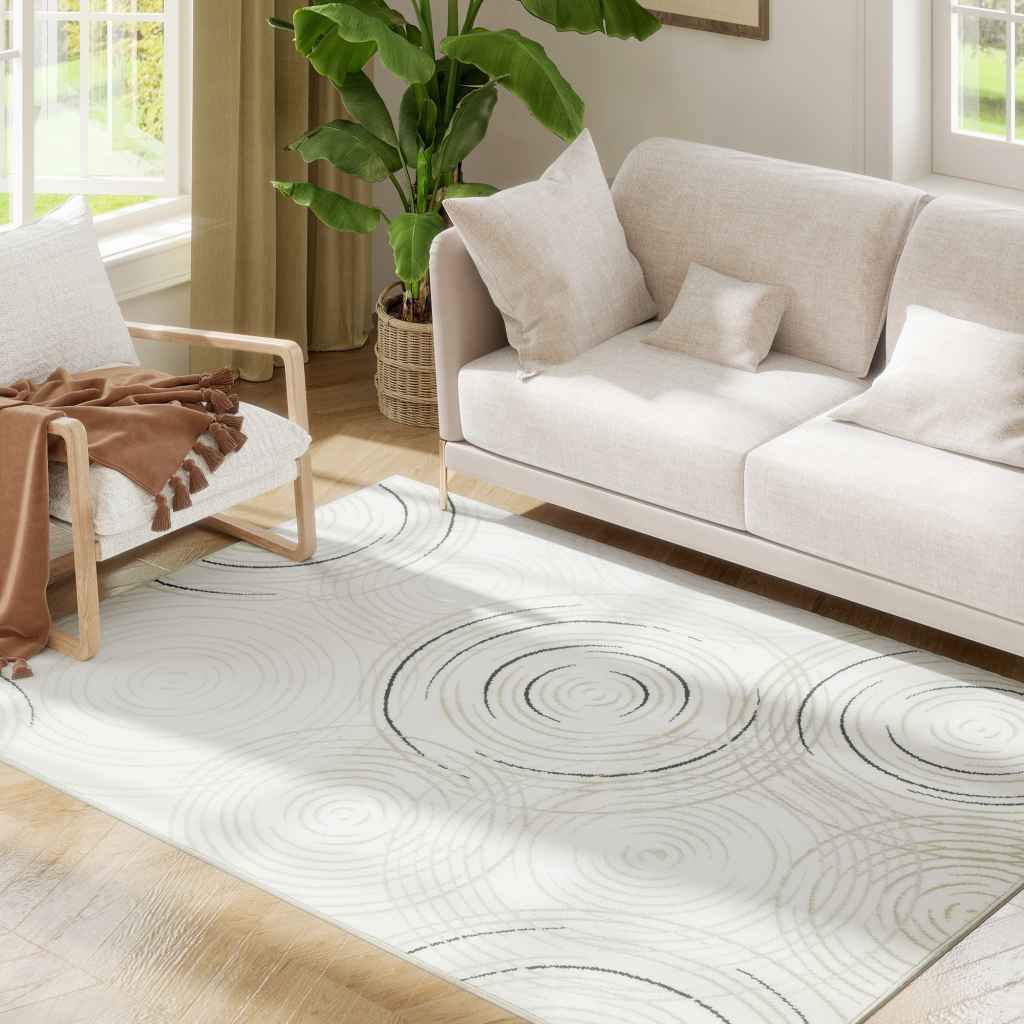 Area Rugs Image