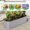 Living and Home 240cm W x 80cm D x 56cm H Oval-Shaped Galvanized Steel Raised Garden Bed, Galvanized Silver