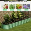 Living and Home 320cm W x 80cm D x 42cm H Oval-Shaped Galvanized Steel Raised Garden Bed, Light Green