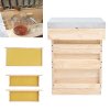 Wooden Beehive Starter Kit