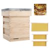 Wooden Beehive Starter Kit