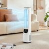 2-in-1 Air Cool & Purify Bladeless Fan, White