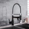 Living and Home Stainless Steel Kitchen Faucet with Pull Down Spring Spout and Pot Filler