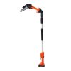 Living and Home 2-in-1 Cordless Pole Saw & Handheld Chainsaw for High Branches & Gardening, 500W
