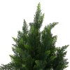 Living and Home 90cm Decorative Artificial Cypress Tree in Pot Indoor Outdoor Decor