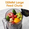 Living and Home 300W Cold Press Juicer Slow Masticating Machine