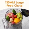 Living and Home 300W Cold Press Juicer Slow Masticating Machine