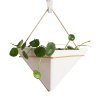 1-Piece Wall Hanging Geometric Decorative Planter for Succulents