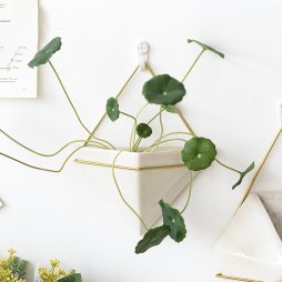 1-Piece Wall Hanging Geometric Decorative Planter for Succulents