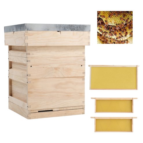 Wooden Beehive Starter Kit