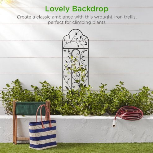 Living and Home 2Pcs Garden Trellis for Climbing Plants Black, 42cm W x 155.5cm D