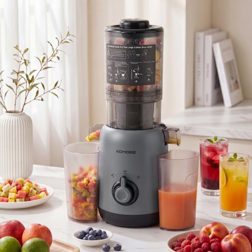Living and Home 200W Cold Press Juicer Slow Masticating Machine Image