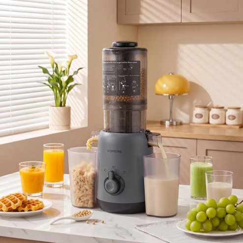 Living and Home 200W Cold Press Juicer Slow Masticating Machine