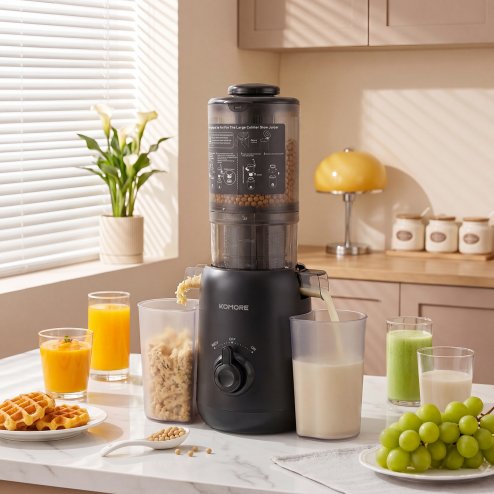 Living and Home 200W Cold Press Juicer Slow Masticating Machine Image