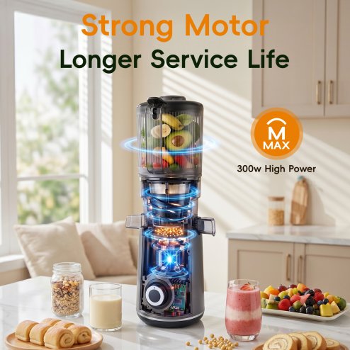Living and Home 300W Cold Press Juicer Slow Masticating Machine