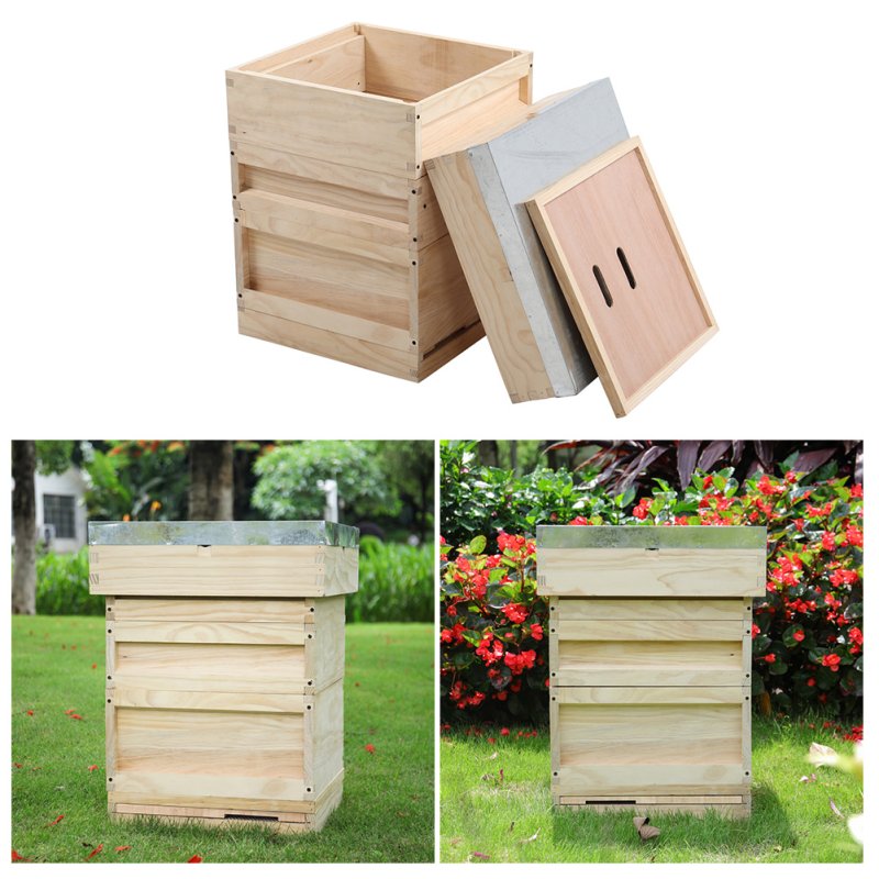 Wooden Beehive Starter Kit