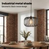 Emitto Industrial Ceiling Pendant Light Shade Black Metal Cage Lamp Shade 28.5cm