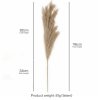 Santaco Pampas Grass Artificial 3Pcs 116cm Handcrafted Faux Silk Vase Brown