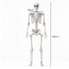 Yezi Halloween Skeleton Life Size Posable Jointed Decoration Haunted House White
